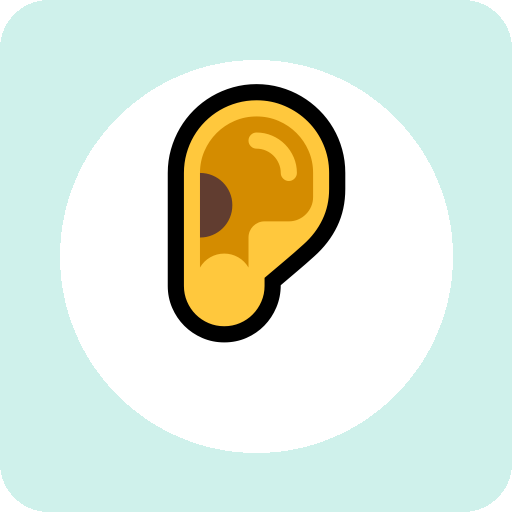 ear 单词图