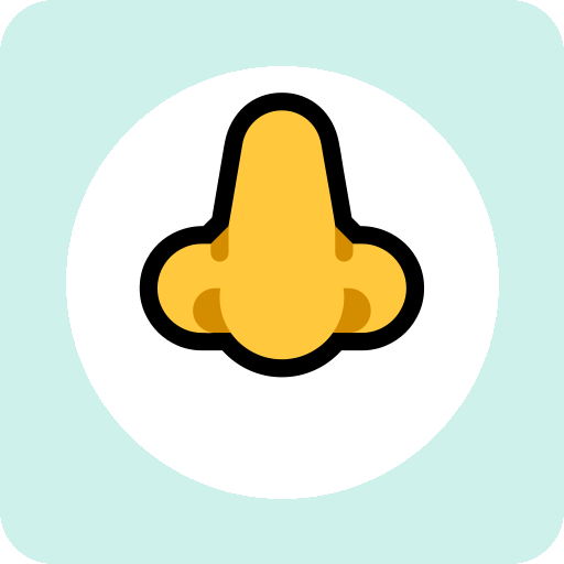 nose 单词图