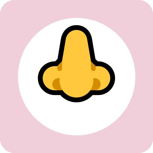 nose 单词图