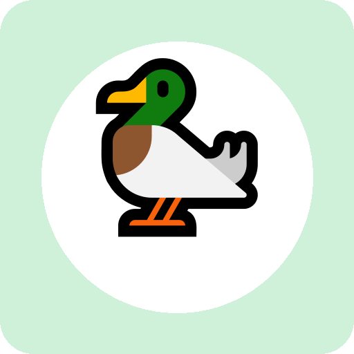 duck 单词图