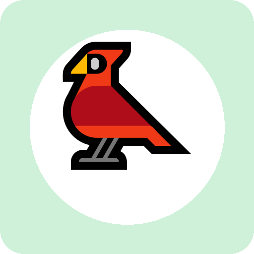 bird 单词图
