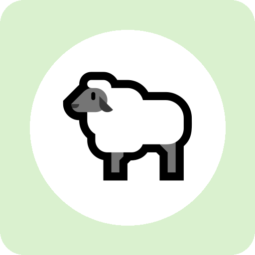 sheep 单词图