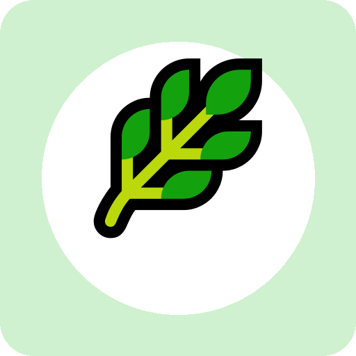 nature 单词图